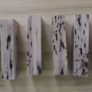 Resin Stabilized Wormy Sycamore for Knife Handles